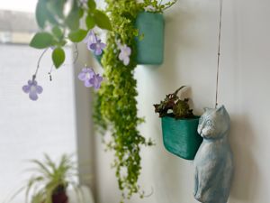 Photo 27- click for photo gallery